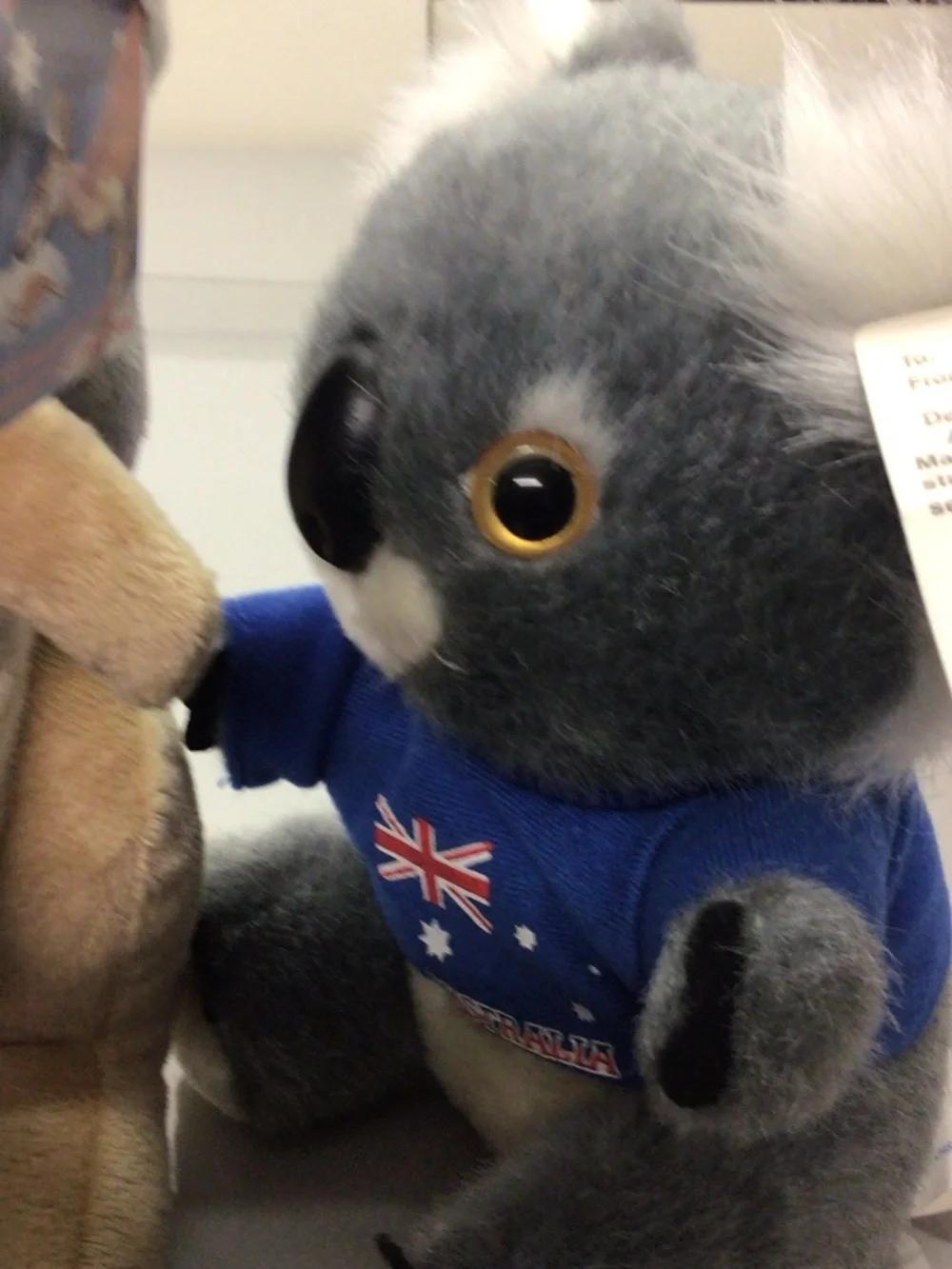Beige Kangaroo & Gray Koala Plush Toy Duo - Soft Cuddly Set